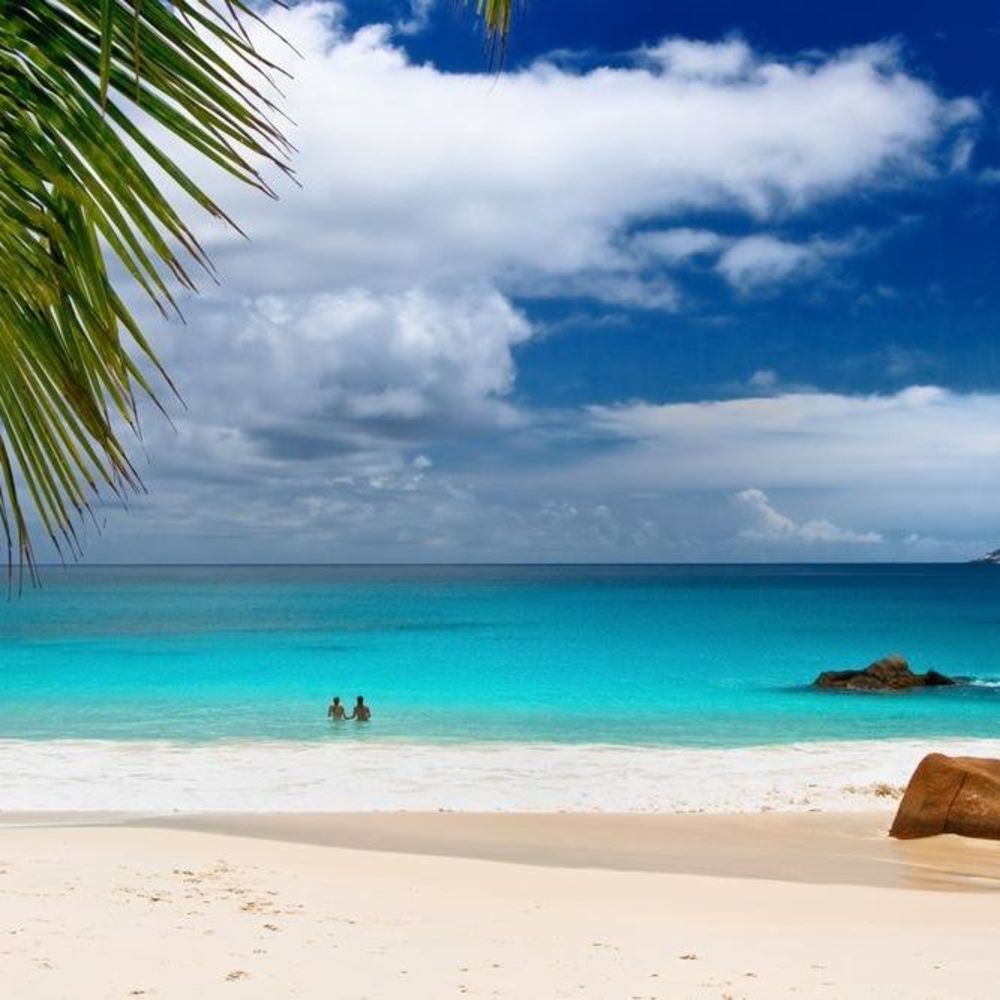 Meet your Posher, Debra